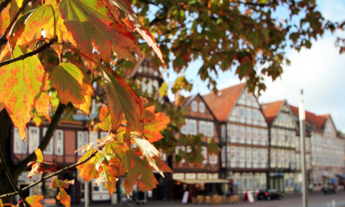 Celle_altstadt_stechbahn_herbstlaub