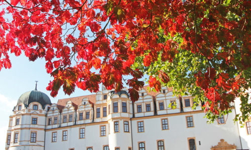 Celler_Hof-Hotel-Celle-Schloss-Herbst-1_3af32c3eff